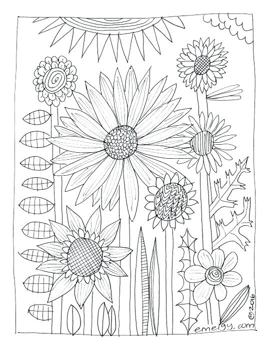 540x699 Wildflower Coloring Pages Wildflower Coloring Pages Free Adult