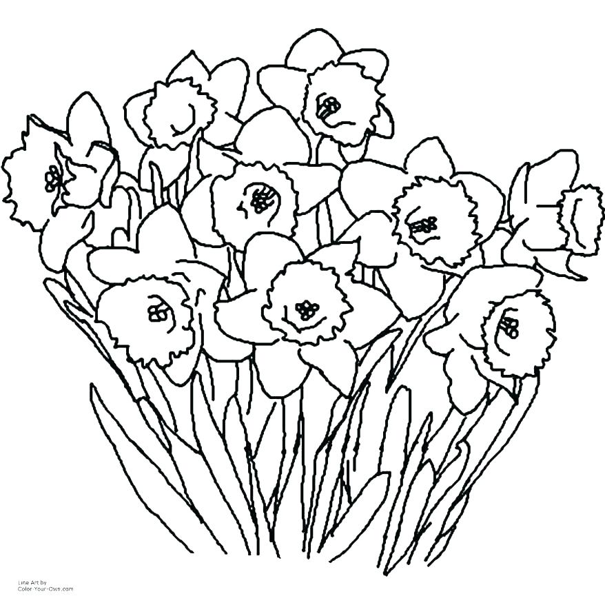 878x878 Wildflower Coloring Pages Wildflower Coloring Pages Wildflower