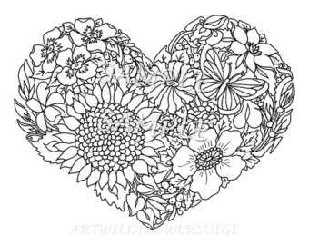 340x270 Wildflower Heart Adult Color Sheet Amp Floral Clipart Coloring