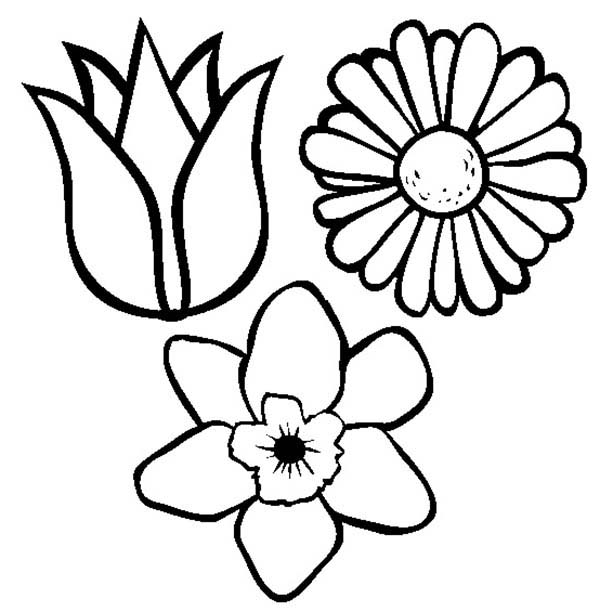 600x612 Astounding Design Spring Flowers Coloring Pages Excellent Flower