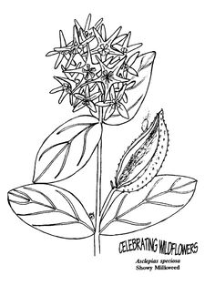236x336 Bohemian Flowers Stock Photos, Images, Amp Pictures Shutterstock