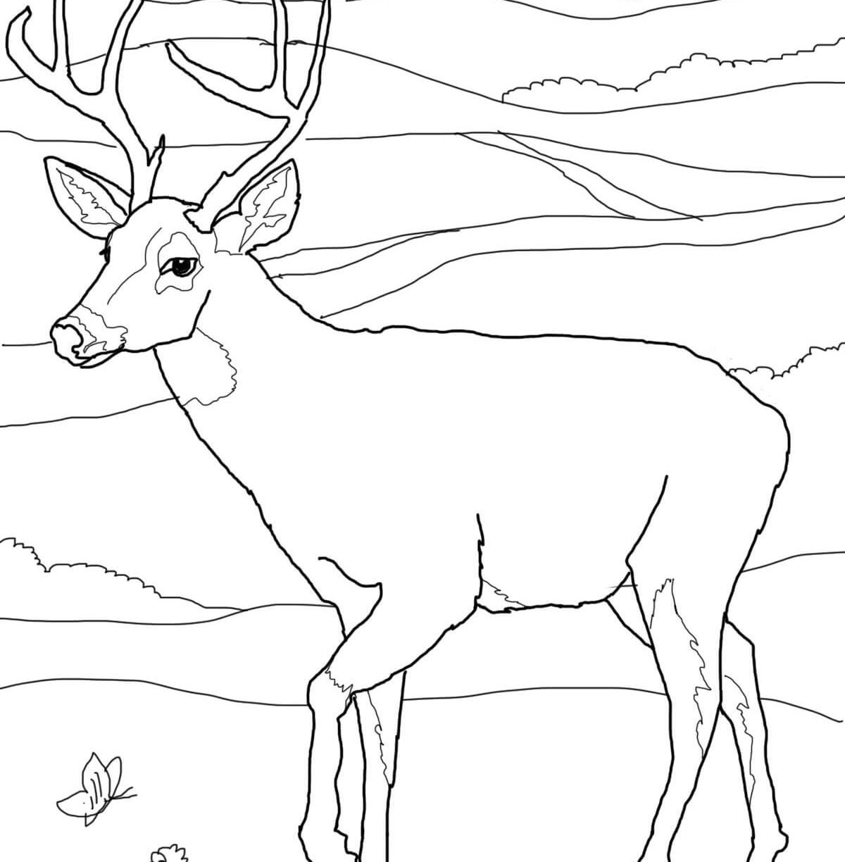 1200x1224 Hog Hunting Coloring Pages Cow Tinkerbell Book Coloring Pages