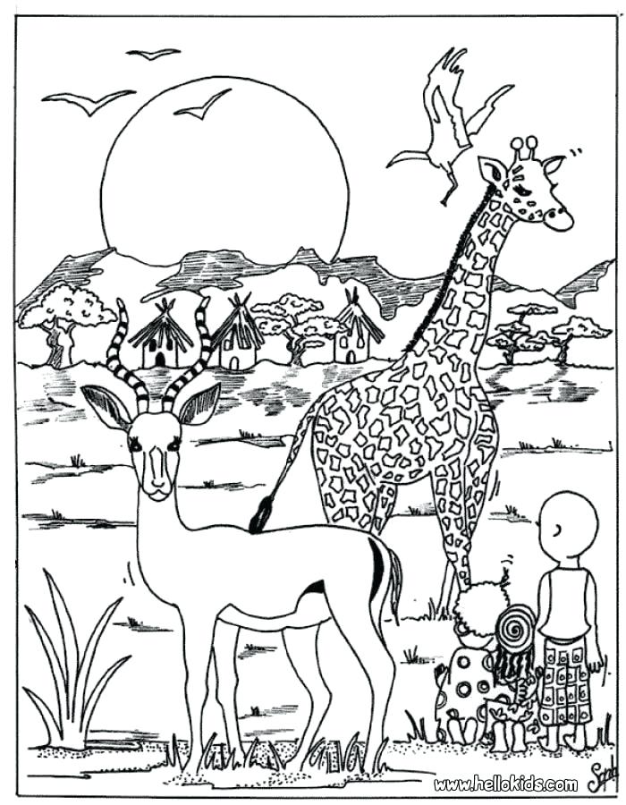 700x900 Coloring Page Animals Coloring Book Pages Animals Best Animal
