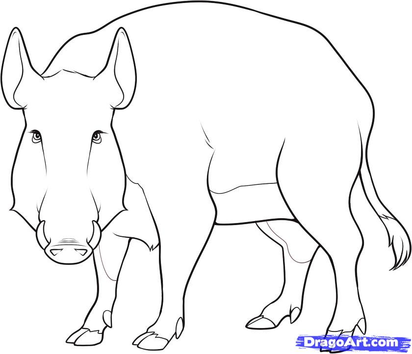 840x722 Drawn Boar Big Many Interesting Cliparts