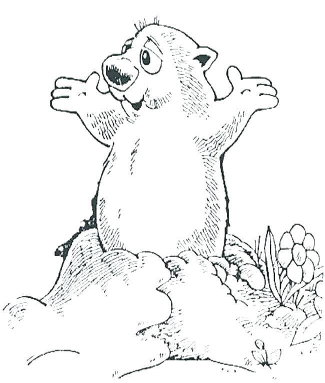 650x764 Ground Hog Coloring Pages Ground Hog Coloring Pages Groundhog Day