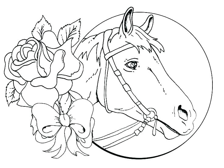 736x551 Horse Coloring Pages Free Horse Coloring Pages Coloring Page Free