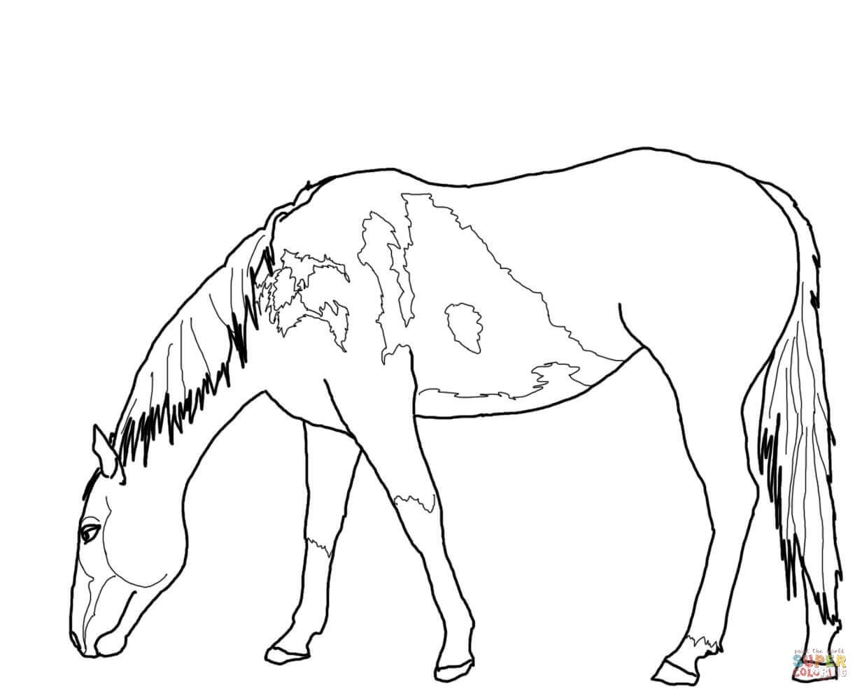 1232x992 Awesome Wild Horse Coloring Pages 2 Funny Coloring Free Coloring