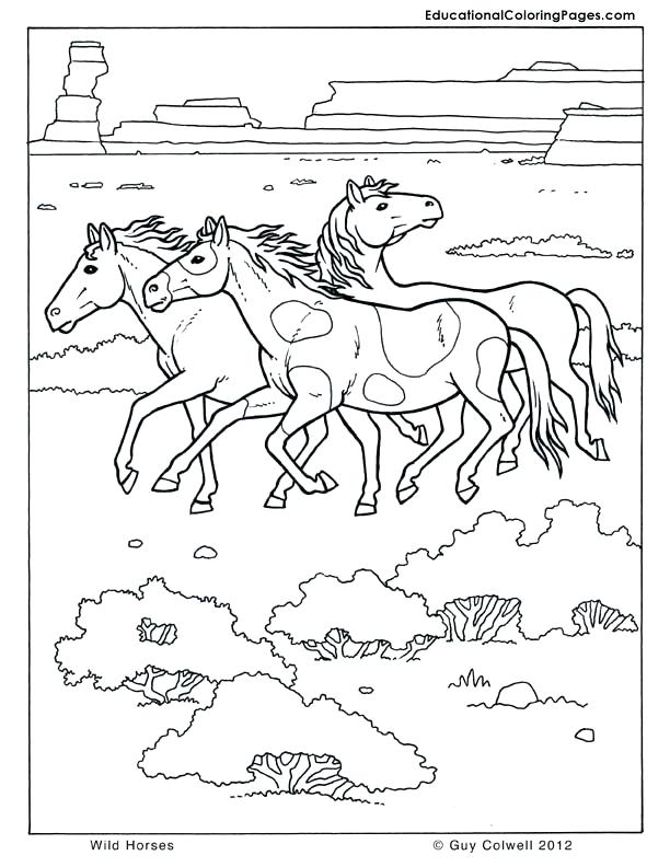 612x792 Wild Horses Coloring Pages Horse Coloring Pages Printable Fee