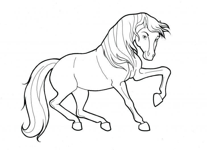 728x529 Cute Baby Horse Coloring Pages Fine Spirit Contemporary Resume
