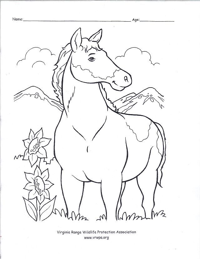 640x828 Wild West Coloring Pages 2