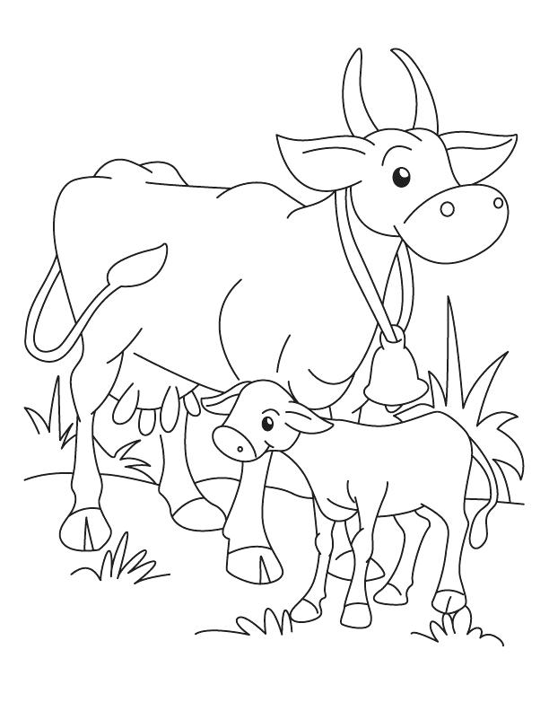 612x792 Cow And Calf Coloring Page Download Free Cow And Calf Coloring Cow