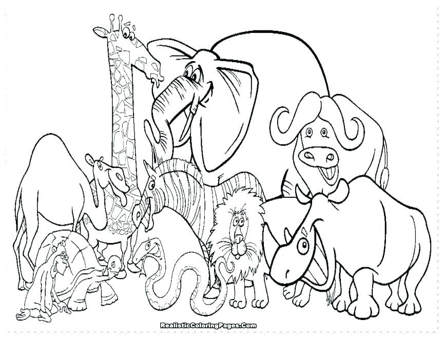 863x656 Realistic Lion Coloring Pages Wildebeest Coloring Pages Free