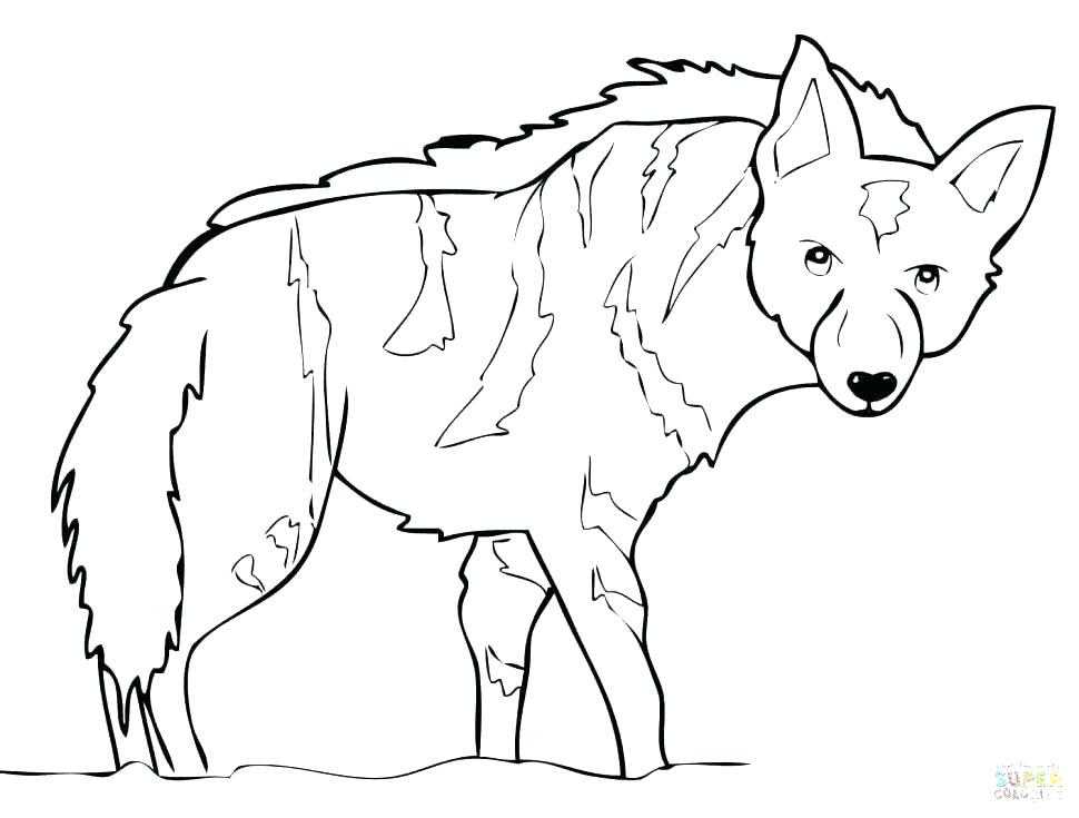 970x735 Wildebeest Colouring Pages How To Draw A Coloring Sheet Line