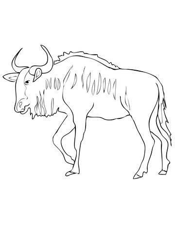 360x480 Blue Wildebeest Antelope Coloring Page.jpg Pixels Eddie