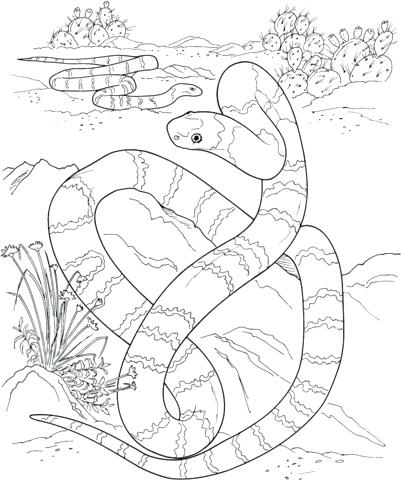 401x480 Desert Scene Coloring Pages Printable Printable Coloring Desert