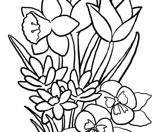 600x500 Wildflower Coloring Pages About Coloring Pages Celebrating
