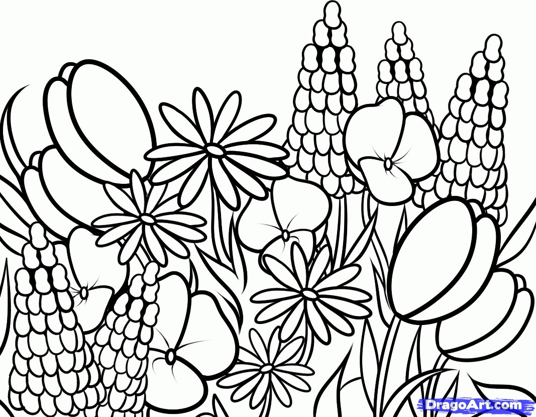 1067x830 Coloring Pages Of Meadow Flowers 17 T Wildflowers Page 11 Wild