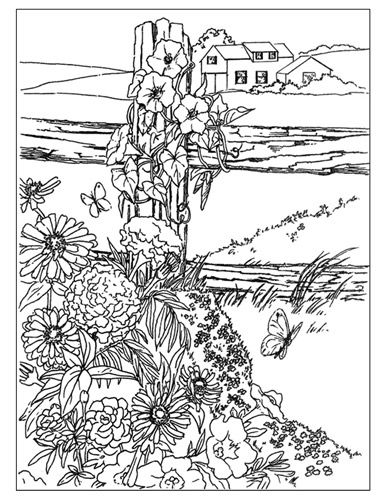386x500 Line Drawing Of Wildflowers On Fence With House In Background