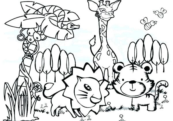 600x420 Baby Jungle Animals Coloring Pages Jungle Coloring Pages Free