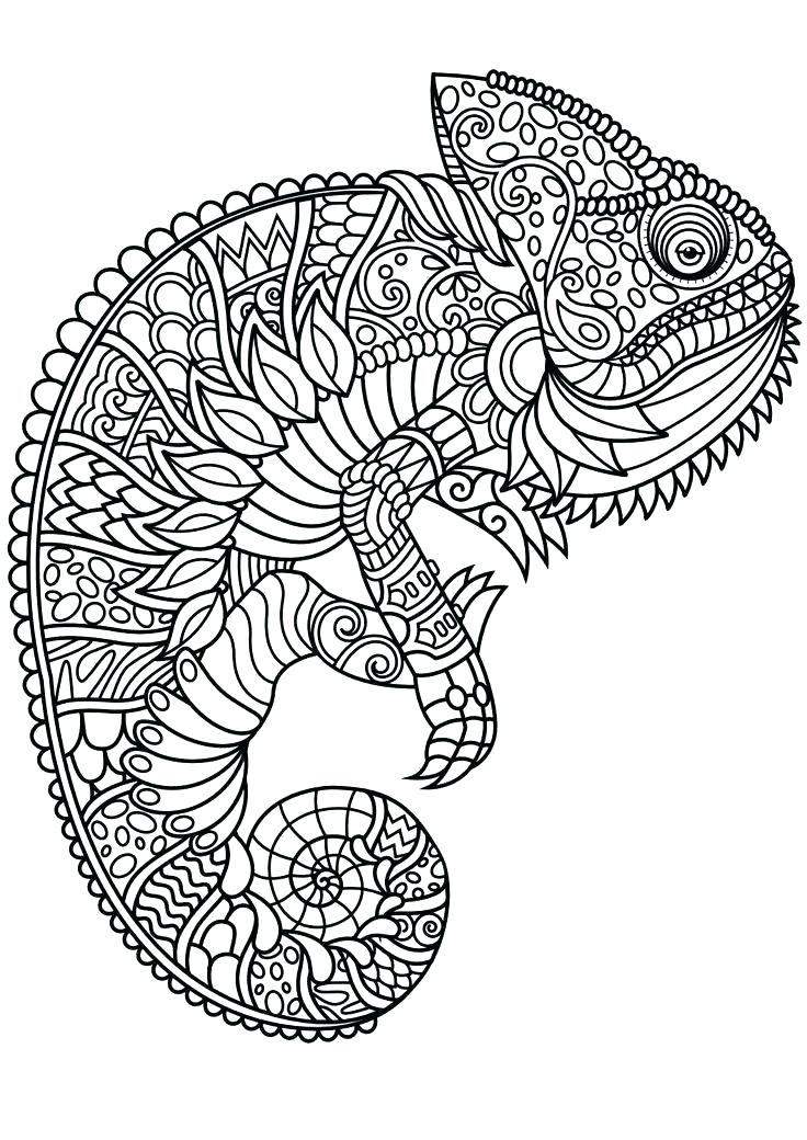 736x1040 Coloring Pages Of Animals Snail Coloring Page Download Snail