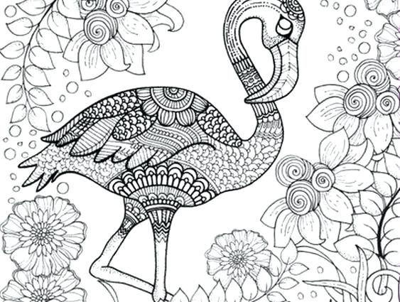 563x425 Detailed Animal Coloring Pages Farm Animals Coloring Page Animal