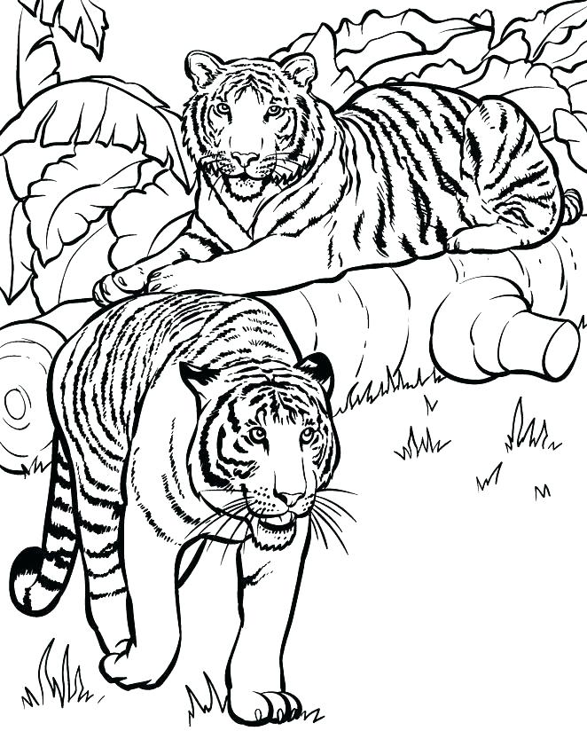 662x842 Wildlife Coloring Pages