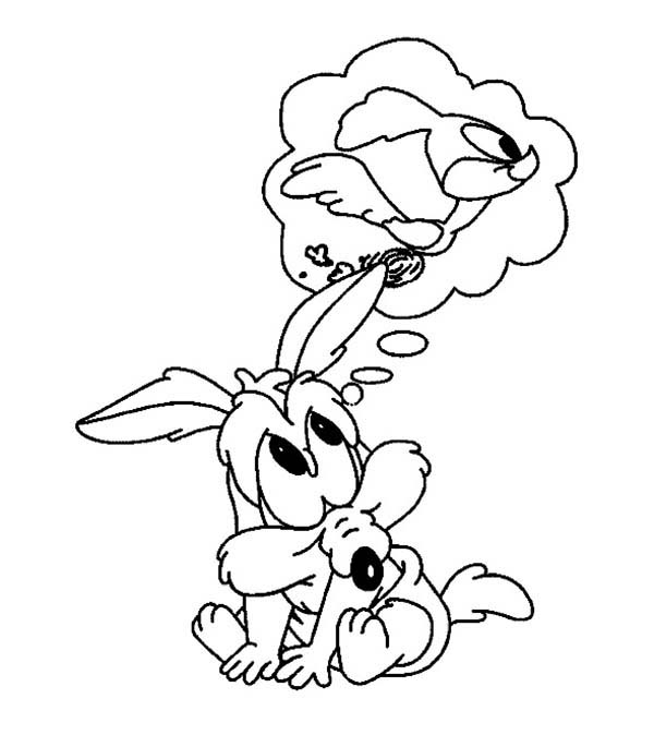 600x685 Little Wile E Coyote Think Hard How To Catch Little Roadrunner
