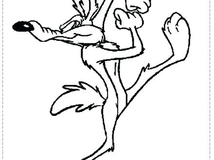 440x330 Wile E Coyote Coloring Pages S Bridg Bby Wile Coyote Coloring