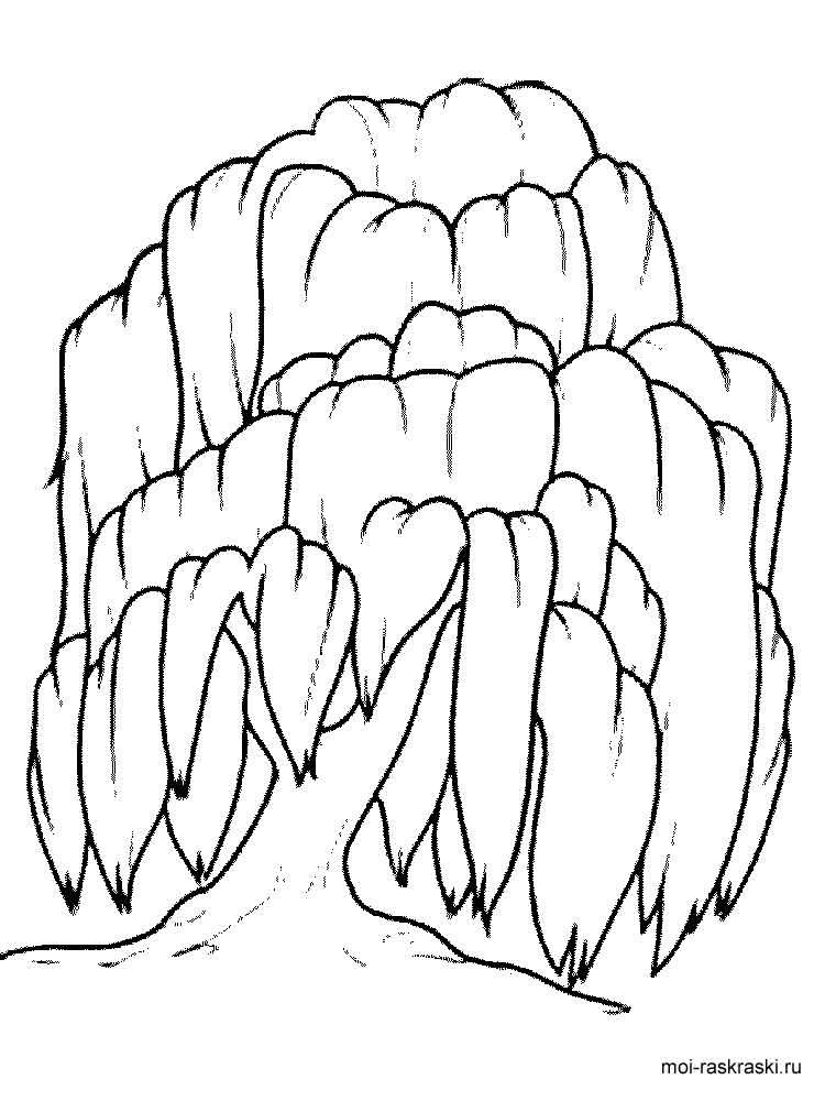 750x1000 28 Palm Tree Coloring Pages Selection Free Coloring Pages