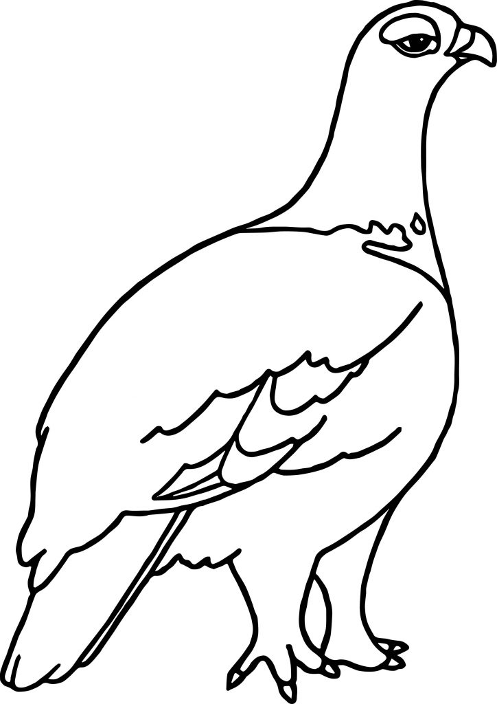 724x1024 Surprising Alaska Coloring Page With Mexico Pages For Kids Map