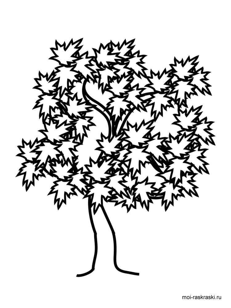 Willow Tree Coloring Page