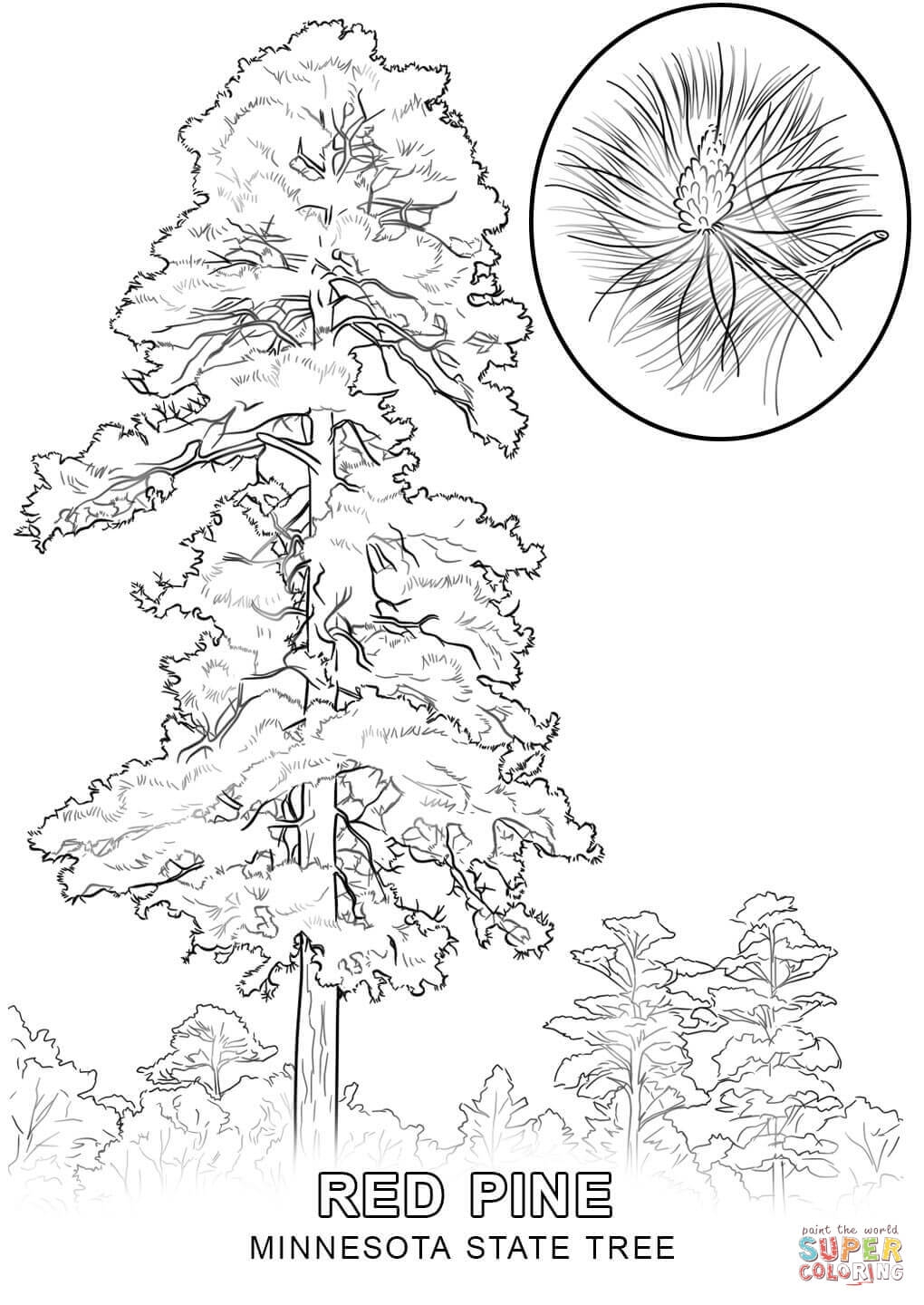 1020x1440 Coloring Pages Draw A Tree The Ohio State Tree Vitlt New