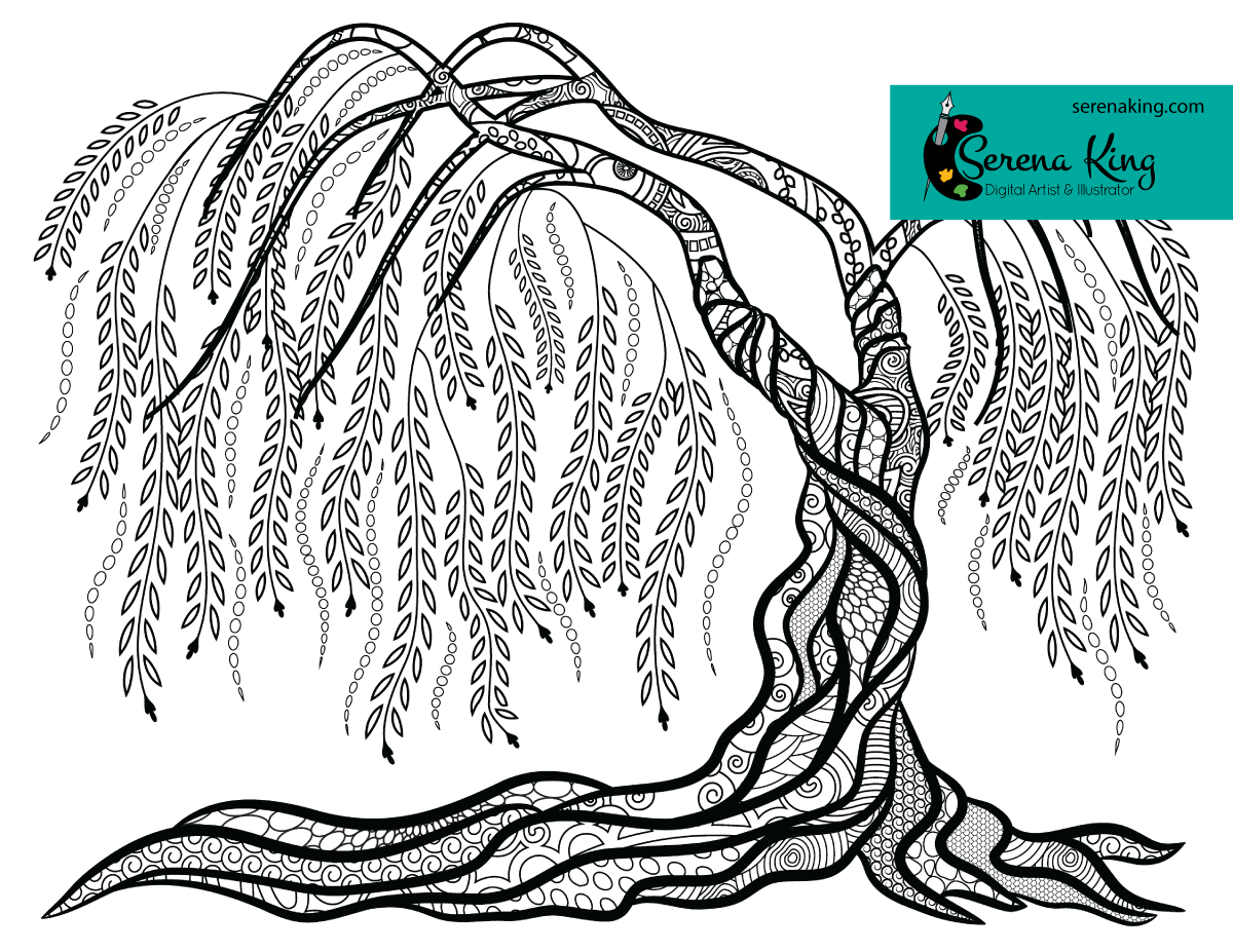 1200x927 Weeping Willow Tree Coloring Page