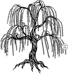 236x255 Primative Weeping Willow Tree Drawings Weeping Willow Tree 4