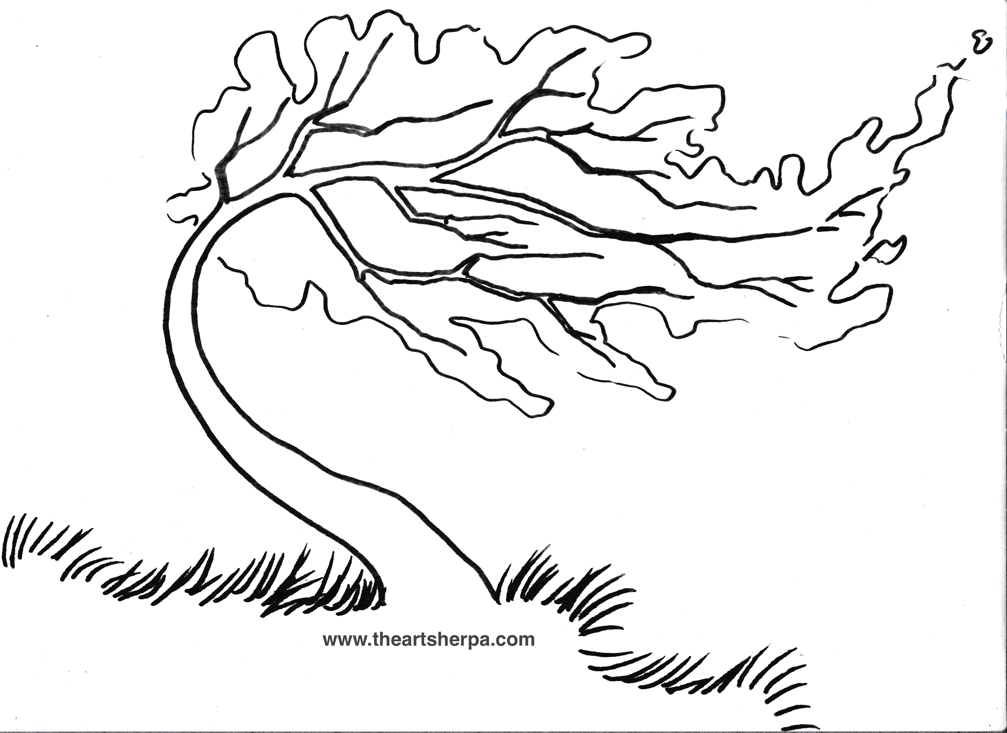 3504x2552 Coloring Page Willow Tree Inspiration Trace Able For The Rainbow