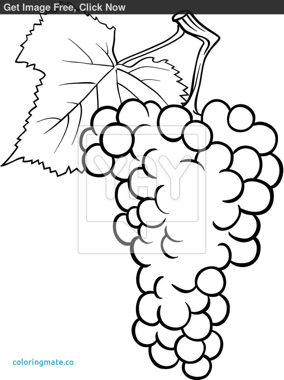 904x1210 Wine Bottle Coloring Pages Awesome Wine Bottle Coloring Page