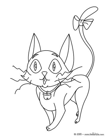 364x470 Winged Black Cat Amp Pumpkins Coloring Pages