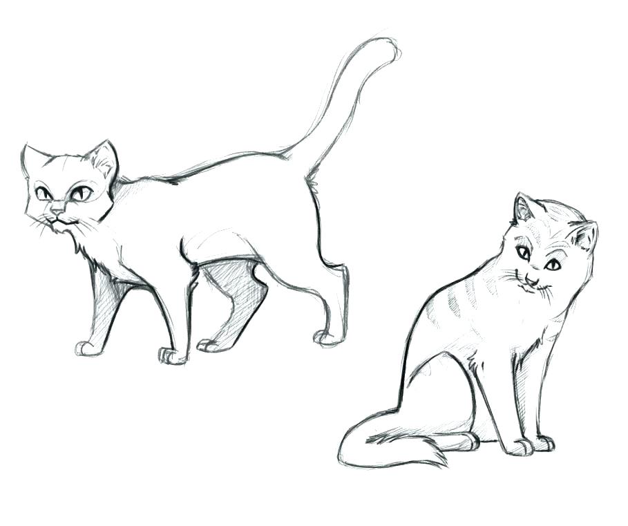 909x761 Warrior Cat Coloring Pages