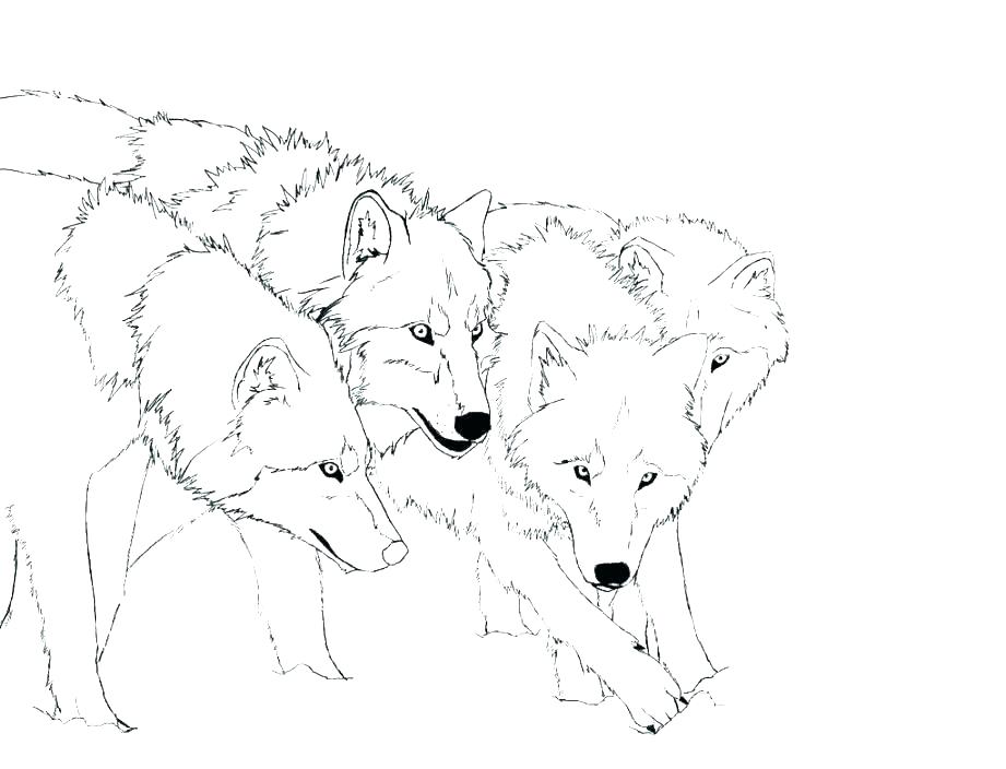 921x704 Winged Wolf Coloring Pages Shippa.co