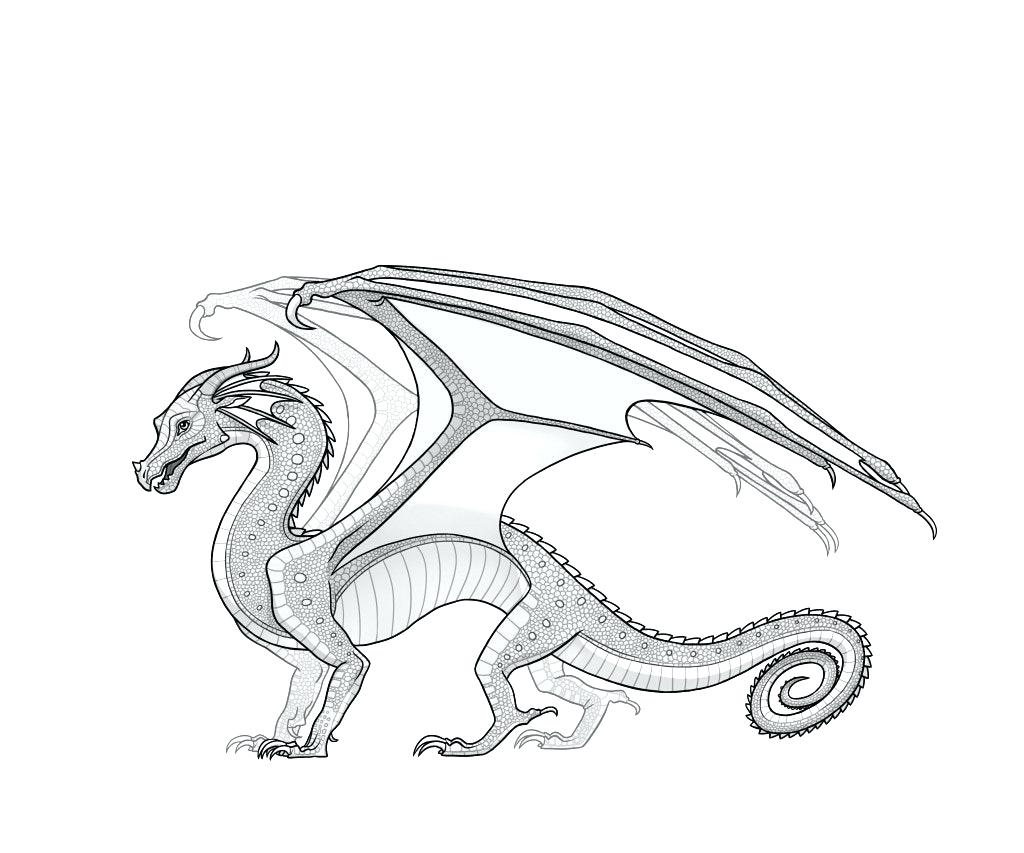 1024x853 Wings Of Fire Coloring Pictures Base Amino Pages Also Have A 3