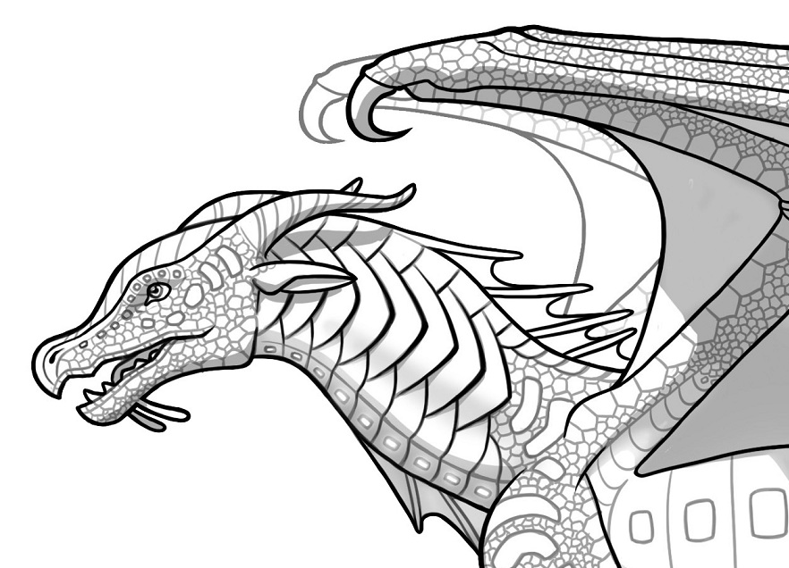 882x636 Image