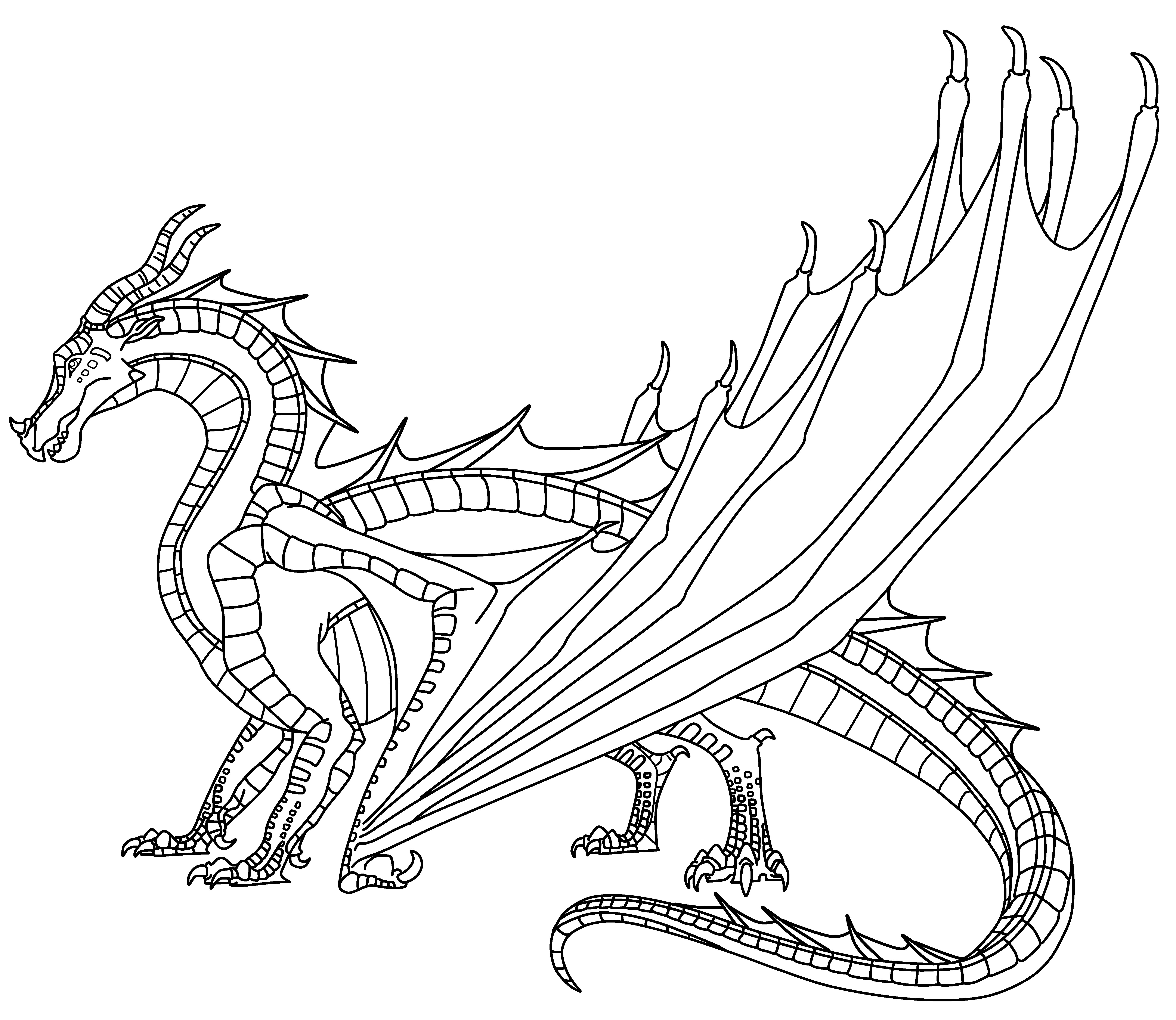 5500x4771 Wings Of Fire Seawing