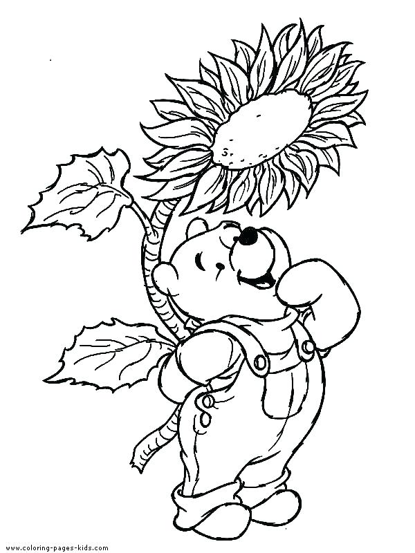 600x800 Winnie The Pooh Coloring Page The Pooh Coloring Page The Pooh