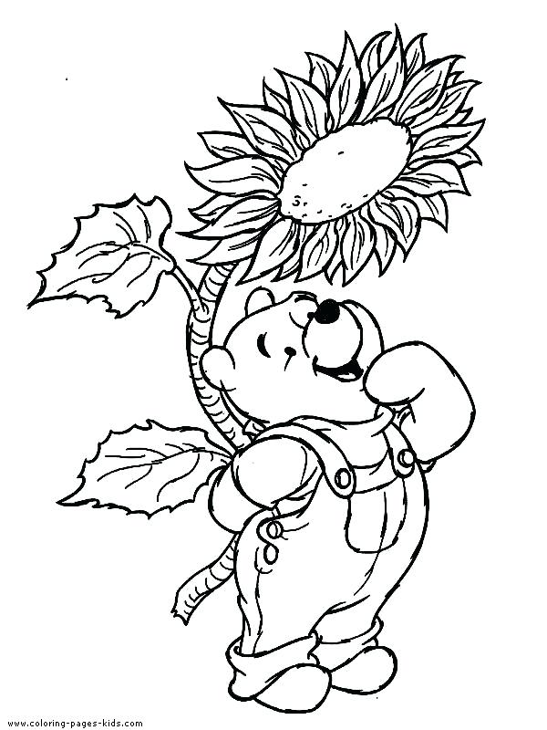 600x800 Pooh And Friends Having Picnic Page50f7 Coloring Pages Printable