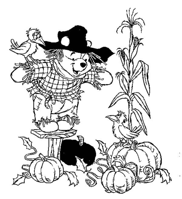 600x657 Winnie The Pooh Became A Scarecrow Watching Pumpkin In Autumn