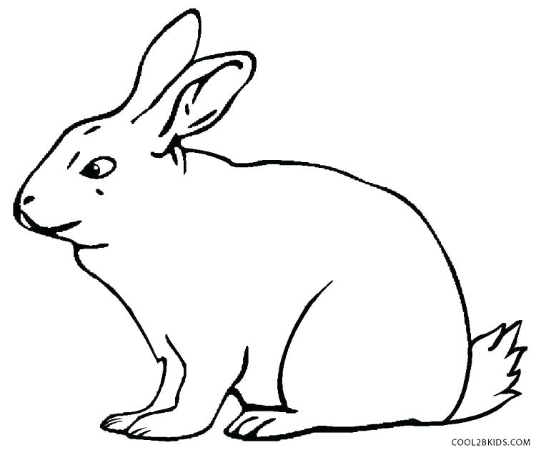 750x630 Coloring Pages Rabbit Rabbit Coloring Pages Also Peter Rabbit