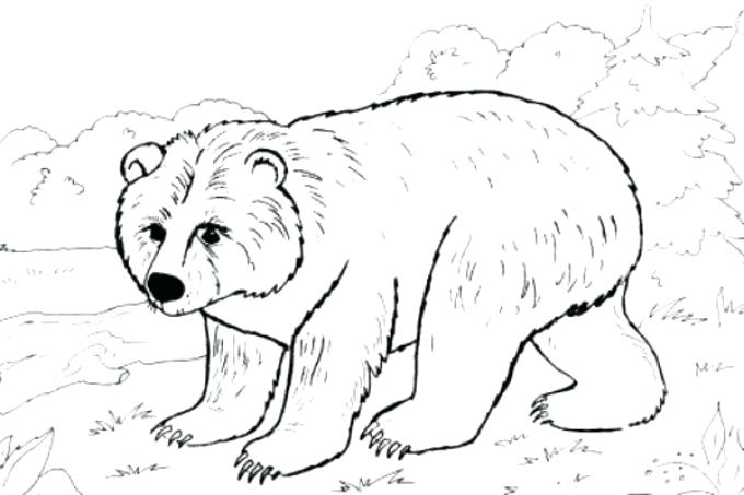 680x453 Winter Animals Co Fabulous Winter Animals Coloring Pages