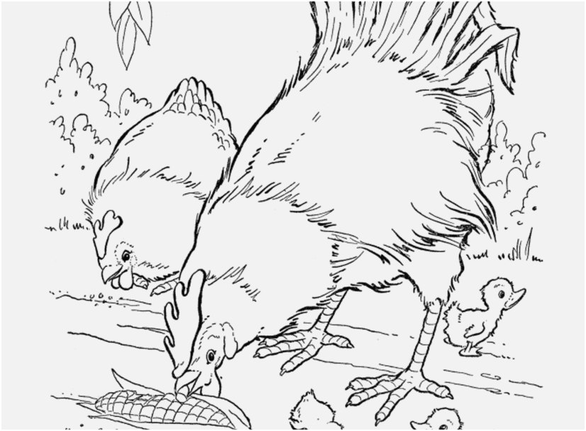 827x609 Winter Animals Coloring Pages Photographs Free Printable Animals