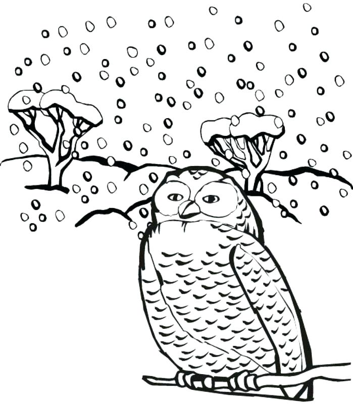 699x806 Destiny Winter Animal Coloring Pages Skill Winter Animals Coloring
