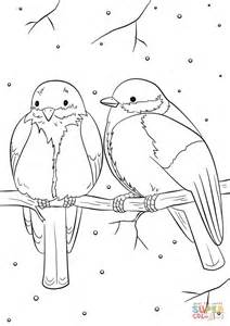 212x300 Coloring Birds
